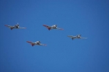 aeroplane;aeroplanes;air-craft;air-display;air-displays;air-force;air-show;air-shows;aircraft;airforce;airplane;airplanes;airshow;airshows;aviating;aviation;aviator;aviators;combat;demonstration;display;displays;fighter;fighter-plane;fighter-planes;fighters;flight;flights;fly;flyer;flyers;flying;harvard;harvards;historic;historical;military;navy;new-zealand;North-American-Harvards;nz;Old;pilot;pilots;plane;planes;rnzaf;sky;snj;SNJs;south-island;T_6-Texans;t6-texan;t6-texans;trainer;trainers;us-navy;usaf;vintage;wanaka;war;warbird;warbirds;warbirds-over-wanaka;wars;world-war-2;world-war-two;ww2;WWII