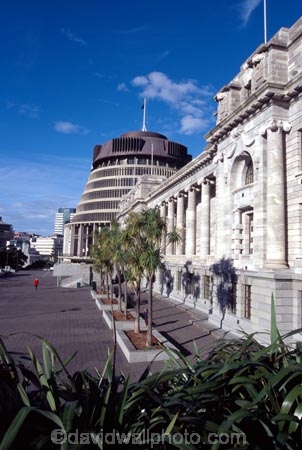 capital;government;governments;historical;historic;building;buildings;member;members;cabinet;mp;mps;columns;cabbage;tree;trees;prime;minister;parliament;wellington;capitals;beehive