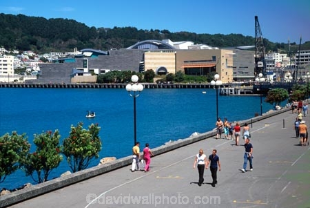 harbor;harbour;harbours;harbors;waterfront;shoreline;shore;coast;coastal;coastline;capital;summer;wellington;stoll;strollers;walk;te-papa;museum-of-new-zealand;port-nicholson;pohutukawa-trees