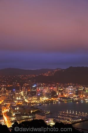 c.b.d.;capital;capitals;cbd;central-business-district;cities;city;cityscape;cityscapes;dark;dusk;evening;harbor;harbors;harbour;harbours;high-rise;high-rises;high_rise;high_rises;highrise;highrises;Lambton-Harbour;light;lights;Mount-Victoria;Mt-Victoria;Mt.-Victoria;multi_storey;multi_storied;multistorey;multistoried;N.I.;N.Z.;New-Zealand;NI;night;night-time;night_time;North-Is;North-Island;NZ;office;office-block;office-blocks;offices;Port-Nicholson;tower-block;tower-blocks;waterfront;Wellington;Wellington-Harbor;Wellington-Harbour