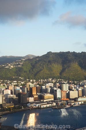 c.b.d.;capital;capitals;cbd;central-business-district;cities;city;cityscape;cityscapes;harbor;harbors;harbour;harbours;high-rise;high-rises;high_rise;high_rises;highrise;highrises;Lambton-Harbour;Mount-Victoria;Mt-Victoria;Mt.-Victoria;multi_storey;multi_storied;multistorey;multistoried;N.I.;N.Z.;New-Zealand;NI;North-Is;North-Island;NZ;office;office-block;office-blocks;offices;Port-Nicholson;tower-block;tower-blocks;waterfront;Wellington;Wellington-Harbor;Wellington-Harbour;Wellington-Town-Belt