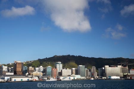 c.b.d.;capital;capitals;cbd;central-business-district;cities;city;cityscape;cityscapes;harbor;harbors;harbour;harbours;high-rise;high-rises;high_rise;high_rises;highrise;highrises;Lambton-Harbour;multi_storey;multi_storied;multistorey;multistoried;N.I.;N.Z.;New-Zealand;NI;North-Is;North-Island;NZ;office;office-block;office-blocks;offices;Port-Nicholson;Queens-Wharf;Queens-Wharf;sky-scraper;sky-scrapers;sky_scraper;sky_scrapers;skyscraper;skyscrapers;tower-block;tower-blocks;Town-Belt;waterfront;Wellington;Wellington-Harbour;Wellington-Town-Belt