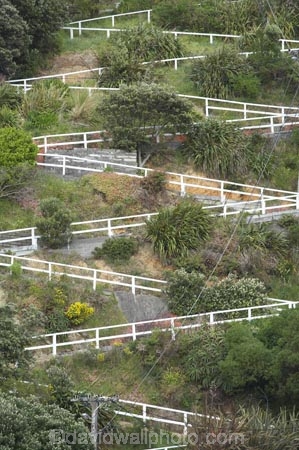 capital;capitals;footpath;N.I.;N.Z.;New-Zealand;NI;North-Is;North-Island;NZ;path;paths;railing;steep;Wellington;Zigzag-Footpath;zigzags