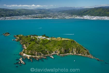 aerial;aerial-image;aerial-images;aerial-photo;aerial-photograph;aerial-photographs;aerial-photography;aerial-photos;aerial-view;aerial-views;aerials;coast;coastal;coastline;coastlines;coasts;DOC-Buildings;harbor;harbors;harbour;harbours;island;islands;Matiu;Matiu-Somes-Island;MatiuSomes-Island;N.I.;N.Z.;New-Zealand;NI;North-Is;North-Island;NZ;NZ-Department-of-Conservation-buildings;Petone;Port-Nicholson;sea;seas;shore;shoreline;shorelines;shores;Somes-Is;Somes-Is.;Somes-Island;Te-Whanganui_a_Tara;water;Wellington;Wellington-Harbor;Wellington-Harbour