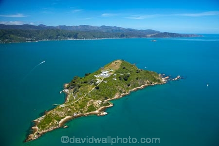 aerial;aerial-image;aerial-images;aerial-photo;aerial-photograph;aerial-photographs;aerial-photography;aerial-photos;aerial-view;aerial-views;aerials;coast;coastal;coastline;coastlines;coasts;DOC-Buildings;harbor;harbors;harbour;harbours;island;islands;Matiu;Matiu-Somes-Island;MatiuSomes-Island;N.I.;N.Z.;New-Zealand;NI;North-Is;North-Island;NZ;NZ-Department-of-Conservation-buildings;Port-Nicholson;sea;seas;shore;shoreline;shorelines;shores;Somes-Is;Somes-Is.;Somes-Island;Te-Whanganui_a_Tara;water;Wellington;Wellington-Harbor;Wellington-Harbour