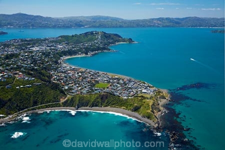 aerial;aerial-image;aerial-images;aerial-photo;aerial-photograph;aerial-photographs;aerial-photography;aerial-photos;aerial-view;aerial-views;aerials;bay;bays;Breaker-Bay;coast;coastal;coastline;coastlines;coasts;harbor;harbors;harbour;harbours;N.I.;N.Z.;New-Zealand;NI;North-Is;North-Island;NZ;Port-Nicholson;sea;seas;Seatoun;shore;shoreline;shorelines;shores;Te-Whanganui_a_Tara;water;Wellington;Wellington-Harbor;Wellington-Harbour;Worser-Bay
