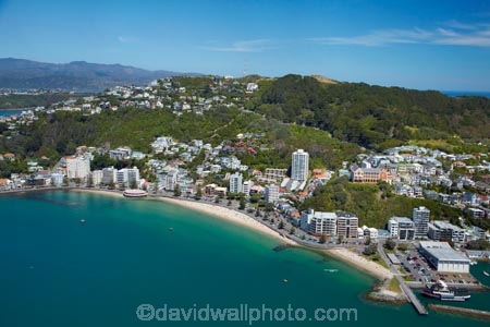 accommodation;aerial;aerial-image;aerial-images;aerial-photo;aerial-photograph;aerial-photographs;aerial-photography;aerial-photos;aerial-view;aerial-views;aerials;apartment;apartments;beach;beaches;cities;city;cityscape;cityscapes;coast;coastal;coastline;coastlines;coasts;condo;condominium;condominiums;condos;Freyberg-Pool-and-Fitness-Centre;harbor;harbors;harbour;harbours;holiday;holiday-accommodation;Holidays;Mount-Victoria;Mt-Victoria;Mt.-Victoria;N.I.;N.Z.;New-Zealand;NI;North-Is;North-Island;NZ;Oriental-Bay;Oriental-Parade;Port-Nicholson;residential;residential-apartment;residential-apartments;residential-building;residential-buildings;sea;seas;seaside;shore;shoreline;shorelines;shores;St-Gerards-Church-and-Monastery;St-Gerards-Monastery;St-Gerards-Church-and-Monastery;St-Gerards-Monastery;summer;Te-Whanganui_a_Tara;water;waterside;Wellington;Wellington-Harbor;Wellington-Harbour