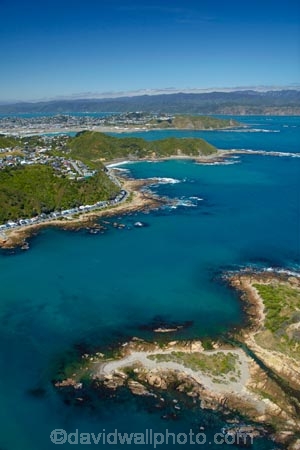 aerial;aerial-image;aerial-images;aerial-photo;aerial-photograph;aerial-photographs;aerial-photography;aerial-photos;aerial-view;aerial-views;aerials;bay;bays;coast;coastal;coastline;coastlines;coasts;Cook-Strait;island;Island-Bay;islands;N.I.;N.Z.;New-Zealand;NI;North-Is;North-Island;NZ;sea;seas;shore;shoreline;shorelines;shores;Tapu-Te-Ranga-Is;Tapu-Te-Ranga-Island;The-Esplanade;water;Wellington