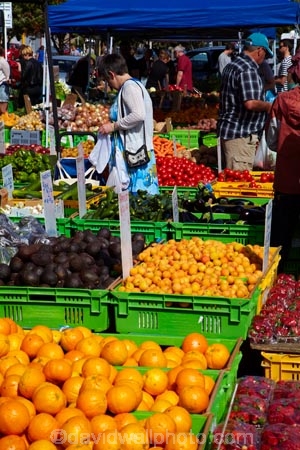 apricot;apricots;avocado;avocados;Chaffers-Market;colorful;colour;colourful;commerce;commercial;fair;fairs;farmer-market;farmer-markets;farmers-market;farmers-markets;farmers-market;farmers-markets;festival;festivals;food;food-market;food-markets;food-stall;food-stalls;fruit;fruit-and-vegetable-market;fruit-and-vegetable-markets;fruit-and-vegetables;fruit-market;fruit-markets;fruits;gathering;Harborside-Market;Harbourside-Market;market;market-day;market-days;market-place;market_place;marketplace;markets;N.I.;N.Z.;New-Zealand;NI;North-Is.;North-Island;Nth-Is;NZ;orange;oranges;pedestrians;people;person;produce;produce-market;produce-markets;produce-stall;produce-stalls;product;products;retail;retailer;retailers;shop;shopper;shoppers;shopping;shops;stall;stalls;steet-scene;street-scene;street-scenes;Te-Papa-Market;vegetable;vegetables;Waitangi-Park-Market;Wellington;Wellington-Market