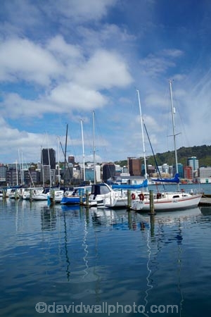 boat;boat-harbor;boat-harbors;boat-harbour;boat-harbours;boats;calm;capital;capitals;Chaffers-Marina;coast;coastal;cruiser;cruisers;harbor;harbors;harbour;harbours;launch;launches;marina;marinas;mast;masts;mooring;N.I.;N.Z.;New-Zealand;NI;North-Is;North-Is.;North-Island;Nth-Is;NZ;placid;port;Port-Nicholson;ports;quiet;reflected;reflection;reflections;sail;sailing;serene;smooth;still;Te-Whanganui_a_Tara;tranquil;water;waterfront;Wellington;Wellington-Harbor;Wellington-Harbour;Wellington-Waterfront;yacht;yachts