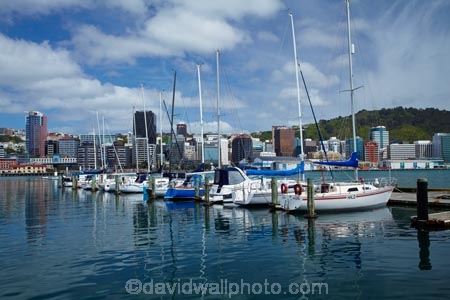 boat;boat-harbor;boat-harbors;boat-harbour;boat-harbours;boats;calm;capital;capitals;Chaffers-Marina;coast;coastal;cruiser;cruisers;harbor;harbors;harbour;harbours;launch;launches;marina;marinas;mast;masts;mooring;N.I.;N.Z.;New-Zealand;NI;North-Is;North-Is.;North-Island;Nth-Is;NZ;placid;port;Port-Nicholson;ports;quiet;reflected;reflection;reflections;sail;sailing;serene;smooth;still;Te-Whanganui_a_Tara;tranquil;water;waterfront;Wellington;Wellington-Harbor;Wellington-Harbour;Wellington-Waterfront;yacht;yachts