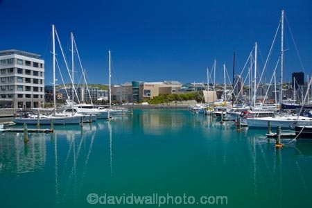 boat;boat-harbor;boat-harbors;boat-harbour;boat-harbours;boats;calm;capital;capitals;Chaffers-Marina;coast;coastal;cruiser;cruisers;harbor;harbors;harbour;harbours;launch;launches;marina;marinas;mast;masts;mooring;museum;Museum-of-New-Zealand;museums;N.I.;N.Z.;national-museum-and-art-gallery;New-Zealand;NI;North-Is;North-Is.;North-Island;Nth-Is;NZ;placid;port;Port-Nicholson;ports;quiet;reflected;reflection;reflections;sail;sailing;serene;smooth;still;Te-Papa-Tongarewa;Te-Whanganui_a_Tara;tranquil;water;waterfront;Wellington;Wellington-Harbor;Wellington-Harbour;Wellington-Waterfront;yacht;yachts
