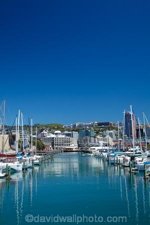 boat;boat-harbor;boat-harbors;boat-harbour;boat-harbours;boats;calm;capital;capitals;Chaffers-Marina;coast;coastal;cruiser;cruisers;harbor;harbors;harbour;harbours;launch;launches;marina;marinas;mast;masts;mooring;N.I.;N.Z.;New-Zealand;NI;North-Is;North-Is.;North-Island;Nth-Is;NZ;placid;port;Port-Nicholson;ports;quiet;reflected;reflection;reflections;sail;sailing;serene;smooth;still;Te-Whanganui_a_Tara;tranquil;water;waterfront;Wellington;Wellington-Harbor;Wellington-Harbour;Wellington-Waterfront;yacht;yachts