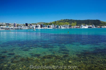 coast;coastal;harbor;harbors;harbour;harbours;N.I.;N.Z.;New-Zealand;NI;North-Is.;North-Island;Nth-Is;NZ;Oriental-Bay;Oriental-Parade;Oriental-Pde;Port-Nicholson;Te-Ahumairangi-Hill;Te-Whanganui_a_Tara;Tinakori-Hill;Wellington;Wellington-CBD;Wellington-Harbor;Wellington-Harbour;Wellington-Waterfront