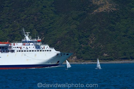 Aratere;boat;boats;coast;coastal;ferries;ferry;harbor;harbors;harbour;harbours;Interislander-ferry;Interislander-ferry-Aratere;N.I.;N.Z.;New-Zealand;NI;North-Is.;North-Island;Nth-Is;NZ;passenger-boat;passenger-boats;passenger-ferries;passenger-ferry;Port-Nicholson;public-transport;ship;shipping;ships;Te-Whanganui_a_Tara;transport;transportation;travel;vessel;vessels;Wellington;Wellington-Harbor;Wellington-Harbour;wind-surfer;wind-surfers;wind_surfer;wind_surfers;windsurfer;windsurfers;Cook-Strait-Ferry;Cook-Strait-Ferries