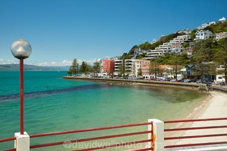 beach;beaches;coast;coastal;harbor;harbors;harbour;harbours;lamp;lamps;light;lights;N.I.;N.Z.;New-Zealand;NI;North-Is;North-Is.;North-Island;Nth-Is;NZ;Oriental-Bay;Oriental-Parade;Oriental-Pde;Port-Nicholson;Wellington;Wellington-Harbor;Wellington-Harbour;Wellington-Waterfront