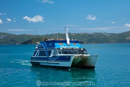 boat;boats;Days-Bay;Days-Bay-Beach;Dominion-Post-Ferry;Eastbourne;ferries;ferry;N.I.;N.Z.;New-Zealand;NI;North-Is;North-Island;NZ;passenger-boat;passenger-boats;passenger-ferries;passenger-ferry;public-transport;ship;shipping;ships;transport;transportation;travel;vessel;vessels;waterside;Wellington;Wellington-Harbor;Wellington-Harbour