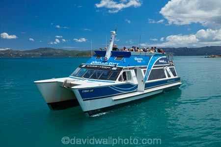 boat;boats;Days-Bay;Days-Bay-Beach;Dominion-Post-Ferry;Eastbourne;ferries;ferry;N.I.;N.Z.;New-Zealand;NI;North-Is;North-Island;NZ;passenger-boat;passenger-boats;passenger-ferries;passenger-ferry;public-transport;ship;shipping;ships;transport;transportation;travel;vessel;vessels;waterside;Wellington;Wellington-Harbor;Wellington-Harbour