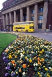 Yellow;Bus;buses;transport;transportation;Wellington;Railway-Station;historic;historical;garden;gardens;flower;flowers;commute;commuter;commuters;commuting;comute;comuter;comuters;comuting