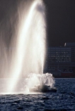 harbor;harbour;harbours;harbors;waterfront;shoreline;shore;coast;coastal;coastline;capital;oriental-bay;summer;fountain;fountains;spray;water