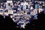 wellington;city;cities;busy;cbd;central-business-district;business;businesses;commerce;commercial;crowded