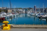 boat;boat-harbor;boat-harbors;boat-harbour;boat-harbours;boats;bolalrs;bollard;calm;capital;capitals;Chaffers-Marina;coast;coastal;cruiser;cruisers;harbor;harbors;harbour;harbours;launch;launches;marina;marinas;mast;masts;mooring;N.I.;N.Z.;New-Zealand;NI;North-Is;North-Is.;North-Island;Nth-Is;NZ;placid;port;Port-Nicholson;ports;quiet;reflected;reflection;reflections;sail;sailing;serene;smooth;still;Te-Whanganui_a_Tara;tranquil;water;waterfront;Wellington;Wellington-Harbor;Wellington-Harbour;Wellington-Waterfront;yacht;yachts;yellow-bollard;yellow-bollards