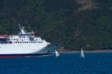Aratere;boat;boats;coast;coastal;ferries;ferry;harbor;harbors;harbour;harbours;Interislander-ferry;Interislander-ferry-Aratere;N.I.;N.Z.;New-Zealand;NI;North-Is.;North-Island;Nth-Is;NZ;passenger-boat;passenger-boats;passenger-ferries;passenger-ferry;Port-Nicholson;public-transport;ship;shipping;ships;Te-Whanganui_a_Tara;transport;transportation;travel;vessel;vessels;Wellington;Wellington-Harbor;Wellington-Harbour;wind-surfer;wind-surfers;wind_surfer;wind_surfers;windsurfer;windsurfers;Cook-Strait-Ferry;Cook-Strait-Ferries