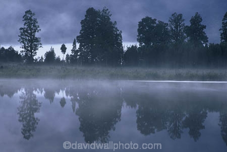 bush;calm;dawn;early-morning;fog;foggy;forest;forests;grey;lakes;magic;magical;mist;misty;mysterious;mystical;natural;nature;peace;peaceful;reflcetion;reflcetion,-reflections,-lakes,-tree,-trees,-forest,-forests,-bu;reflection;reflections;serene;tree;trees;water