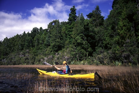 aqua;blue;bush;clear;coast;coast-line;coastal;coastline;color;colors;colour;colours;estuaries;estuary;fern;ferns;green;inlet;inlets;kayaking;kayaks;lagoon;lagoons;native;paddle;paddles;paddling;peace;peaceful;peacefulness;pure;sea;see_through;shore;shore-line;shoreline;tranquil;tranquility;water;yellow