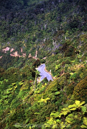 bush;bushland;flora;forest;forestry;forests;mountain;native;natural;nature;road
