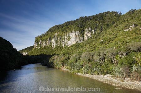 beautiful;beauty;brook;brooks;bush;color;colors;colour;colours;creek;creeks;endemic;fern;ferns;flow;forest;forests;green;lush;N.Z.;national-park;national-parks;native;native-bush;natives;natural;nature;New-Zealand;NZ;Paparoa-N.P.;Paparoa-National-Park;Paparoa-NP;Pororari-River;Punakaiki;rain-forest;rain-forests;rain_forest;rain_forests;rainforest;rainforests;river;rivers;S.I.;scene;scenic;SI;South-Island;stream;streams;tree;trees;unspoilt;untouched;verdant;water;West-Coast;Westland;wet;wilderness