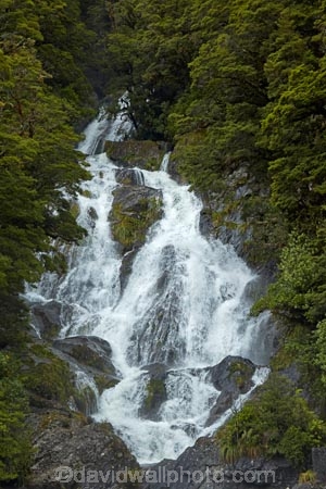 Beech-Forest;brook;calm;calmness;cascade;cascades;creek;;fall;falls;Fantail-Falls;flow;forest;green;gush;Haast-Pass;Haast-River;Mount-Aspiring-National-Park;Mt-Aspiring-N.P.;Mt-Aspiring-National-Park;Mt-Aspiring-NP;N.Z.;national-park;national-parks;native-bush;natural;nature;New-Zealand;NZ;river;rivers;S.I.;scene;scenic;SI;South-Is;South-Island;Sth-Is;stream;water;water-fall;water-falls;waterfall;waterfalls;West-Coast;Westland;wet