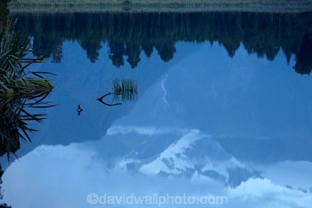 calm;lake;Lake-Matheson;lakes;N.Z.;New-Zealand;NZ;placid;quiet;reflected;reflection;reflections;S.I.;serene;SI;smooth;South-Is;South-Island;Sth-Is;still;tranquil;water;West-Coast;Westland;Westland-N.P.;Westland-National-Park;Westland-NP