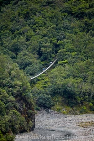 bridge;bridges;bush;foot-bridge;foot-bridges;footbridge;footbridges;forest;forests;Franz-Joseph-Glacier;N.Z.;native-bush;native-forest;native-forests;native-tree;native-trees;native-woods;natural;nature;New-Zealand;NZ;pedestrian-bridge;pedestrian-bridges;Roberts-Point-Track;S.I.;SI;South-Is;South-Island;Sth-Is;suspension-bridge;suspension-bridges;swing-bridge;swing-bridges;tree;trees;West-Coast;Westland;wire-bridge;wire-bridges;wood;woods