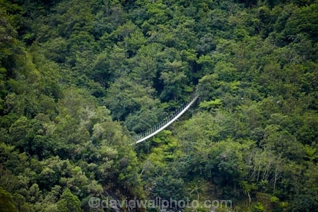 bridge;bridges;bush;foot-bridge;foot-bridges;footbridge;footbridges;forest;forests;Franz-Joseph-Glacier;N.Z.;native-bush;native-forest;native-forests;native-tree;native-trees;native-woods;natural;nature;New-Zealand;NZ;pedestrian-bridge;pedestrian-bridges;Roberts-Point-Track;S.I.;SI;South-Is;South-Island;Sth-Is;suspension-bridge;suspension-bridges;swing-bridge;swing-bridges;tree;trees;West-Coast;Westland;wire-bridge;wire-bridges;wood;woods