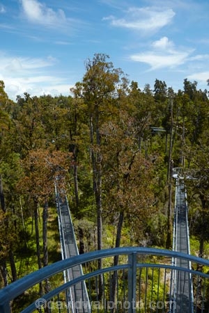 aerial-walkway;aerial-walkways;aerials-walkways;bridge;bridges;bush;canopy;canopy-walk;eco-tourism;ecotourism;elevated-walkway;elevated-walkways;engineering;forest;forest-canopy;forests;high;high-up;Hokitika;lush;luxuriant;N.Z.;native-bush;native-forest;native-forests;native-tree;native-trees;native-woods;natural;nature;New-Zealand;NZ;plant;plants;rain-forest;rain-forests;rain_forests;rainforest;rainforest-canopy;rainforest-walk;rainforests;S.I.;SI;South-Is;South-Island;steel;Sth-Is;structure;structures;tourism;travel;tree;Tree-top-Walk;Tree-top-Walkway;tree-trunk;tree-trunks;Tree_top-Walk;Tree_top-Walkway;trees;Treetop-Walk;Treetop-Walkway;walkway;walkways;West-Coast;West-Coast-Treetop-Walk;West-Coast-Treetop-Walkway;Westland;wood;woods