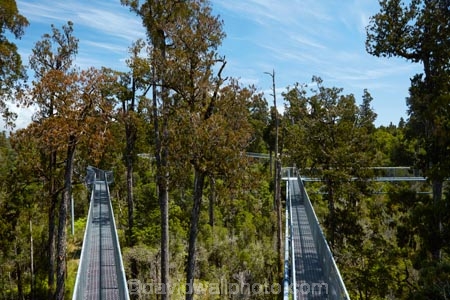 aerial-walkway;aerial-walkways;aerials-walkways;bridge;bridges;bush;canopy;canopy-walk;eco-tourism;ecotourism;elevated-walkway;elevated-walkways;engineering;forest;forest-canopy;forests;high;high-up;Hokitika;lush;luxuriant;N.Z.;native-bush;native-forest;native-forests;native-tree;native-trees;native-woods;natural;nature;New-Zealand;NZ;plant;plants;rain-forest;rain-forests;rain_forests;rainforest;rainforest-canopy;rainforest-walk;rainforests;S.I.;SI;South-Is;South-Island;steel;Sth-Is;structure;structures;tourism;travel;tree;Tree-top-Walk;Tree-top-Walkway;tree-trunk;tree-trunks;Tree_top-Walk;Tree_top-Walkway;trees;Treetop-Walk;Treetop-Walkway;walkway;walkways;West-Coast;West-Coast-Treetop-Walk;West-Coast-Treetop-Walkway;Westland;wood;woods