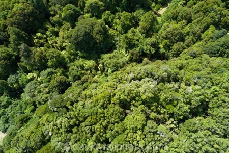 aerial;Aerial-drone;Aerial-drones;aerial-image;aerial-images;aerial-photo;aerial-photograph;aerial-photographs;aerial-photography;aerial-photos;aerial-view;aerial-views;aerials;bush;Drone;Drones;forest;forests;green;Hokitika;Lake-Mahinapua;N.Z.;native-bush;native-forest;native-forests;native-tree;native-trees;native-woods;natural;nature;New-Zealand;NZ;Quadcopter-aerial;Quadcopters-aerials;Ruatapu;S.I.;SI;South-Is;South-Island;Sth-Is;Sth-Island;tree;trees;U.A.V.-aerial;UAV-aerials;West-Coast;Westland;wood;woods