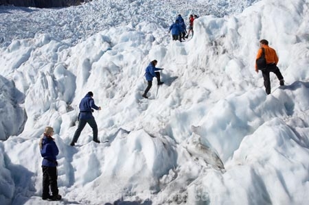 adventure;adventurous;alp;alpine;alps;climb;climbers;climbing;crampon;crampons;Franz-Josef-Glacier;glacial;glacier;glaciers;group;heli-hike;heli-hiker;heli-hikers;heli_hike;heli_hiker;heli_hikers;hike;hiker;hikers;ice;icy;main-divide;mount;mountain;mountainous;mountains;mountainside;mt;mt.;New-Zealand;outdoors;range;ranges;South-Island;South-West-New-Zealand-World-He;southern-alps;Te-Poutini-National-Park;Te-Wahipounamu;tramper;trampers;trek;trekker;trekkers;walk;walker;walkers;West-Coast;westland;Westland-National-Park
