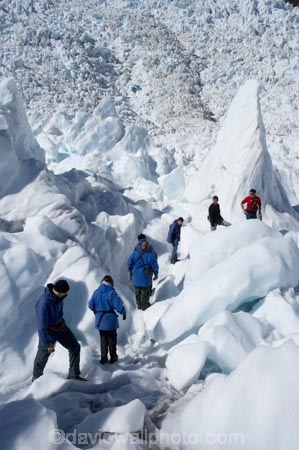 adventure;adventurous;alp;alpine;alps;climb;climbers;climbing;crampon;crampons;Franz-Josef-Glacier;glacial;glacier;glaciers;group;heli-hike;heli-hiker;heli-hikers;heli_hike;heli_hiker;heli_hikers;hike;hiker;hikers;ice;icy;main-divide;mount;mountain;mountainous;mountains;mountainside;mt;mt.;New-Zealand;outdoors;range;ranges;South-Island;South-West-New-Zealand-World-He;southern-alps;Te-Poutini-National-Park;Te-Wahipounamu;tramper;trampers;trek;trekker;trekkers;walk;walker;walkers;West-Coast;westland;Westland-National-Park