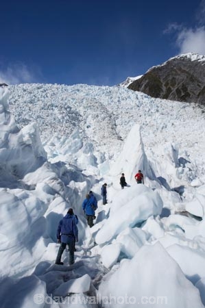 adventure;adventurous;alp;alpine;alps;climb;climbers;climbing;crampon;crampons;Franz-Josef-Glacier;glacial;glacier;glaciers;group;heli-hike;heli-hiker;heli-hikers;heli_hike;heli_hiker;heli_hikers;hike;hiker;hikers;ice;icy;main-divide;mount;mountain;mountainous;mountains;mountainside;mt;mt.;New-Zealand;outdoors;range;ranges;South-Island;South-West-New-Zealand-World-He;southern-alps;Te-Poutini-National-Park;Te-Wahipounamu;tramper;trampers;trek;trekker;trekkers;walk;walker;walkers;West-Coast;westland;Westland-National-Park