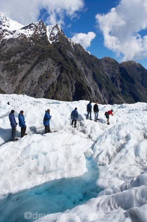 adventure;adventurous;alp;alpine;alps;blue-pool;blue-pools;climb;climbers;climbing;crampon;crampons;Franz-Josef-Glacier;glacial;glacier;glaciers;group;heli-hike;heli-hiker;heli-hikers;heli_hike;heli_hiker;heli_hikers;hike;hiker;hikers;ice;icy;main-divide;mount;mountain;mountainous;mountains;mountainside;mt;mt.;New-Zealand;outdoors;pool;pools;range;ranges;South-Island;South-West-New-Zealand-World-He;southern-alps;Te-Poutini-National-Park;Te-Wahipounamu;tramper;trampers;trek;trekker;trekkers;walk;walker;walkers;West-Coast;westland;Westland-National-Park