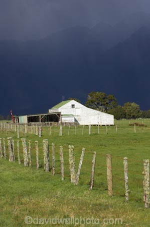 8-wire;agricultural;agriculture;approaching-storm;barn;barns;black-cloud;black-clouds;cloud;cloud-burst;cloud-bursts;cloudburst;cloudbursts;clouds;cloudy;country;countryside;cowshed;cowsheds;crop;crops;farm;farm-building;farm-buildings;farming;farmland;farms;fence;fence-line;fence-lines;fence_line;fence_lines;fenceline;fencelines;fences;fencing;field;fields;Fox-Glacier;gray-clouds;grey-clouds;hay-shed;hay-sheds;hayshed;haysheds;horticulture;meadow;meadows;New-Zealand;number-8-wire;number-eight-wire;old-building;old-buildings;paddock;paddocks;pasture;pastures;post-and-wire;rain;rain-cloud;rain-clouds;rural;shed;sheds;South-Island;stable;stables;storm;storm-cloud;storm-clouds;storms;stormy;thunder-storm;thunder-storms;thunderstorm;thunderstorms;West-Coast;westland;white;white-barn;white-barns;wooden-building;wooden-buildings;wool-shed;wool-sheds;woolshed