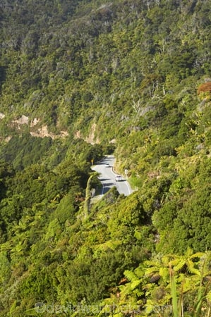 beautiful;beauty;bend;bends;bush;corner;corners;driving;endemic;forest;forests;green;highway;highways;Irimahuwhero-Viewpoint;native;native-bush;natives;natural;nature;New-Zealand;open-road;open-roads;Paparoa-National-Park;rain-forest;rain-forests;rain_forest;rain_forests;rainforest;rainforests;road;road-trip;roads;scene;scenic;South-Island;state-highway-6;state-highway-six;timber;transport;transportation;travel;traveling;travelling;tree;trees;trip;trunk;trunks;West-Coast;westland;wood;woods