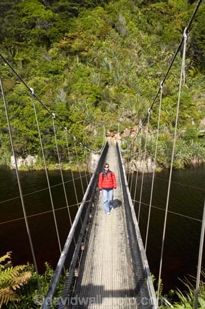 bridge;bridges;foot-bridge;foot-bridges;footbridge;footbridges;Great-Walk;Great-Walks;Heaphy-Track;hike;hiker;hikers;hiking;hiking-track;hiking-tracks;Kahurangi-National-Park;Karamea;Kohaihai-River;national-park;national-parks;New-Zealand;pedestrian-bridge;pedestrian-bridges;people;person;rivers;South-Island;suspension-bridge;suspension-bridges;swing-bridge;swing-bridges;tannin;tannin-stained;tannin-stained-river;tannin-stained-water;tannin_stained;tannin_stained-river;tannin_stained-water;track;tracks;walker;walkers;walking;walking-track;walking-tracks;West-Coast;Westland;wire-bridge;wire-bridges