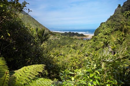 beautiful;beauty;bush;endemic;fern;ferns;forest;forests;Great-Walk;green;Heaphy-Track;Kahurangi-National-Park;Karamea;Kohaihai-River;lush;national-park;national-parks;native;native-bush;natives;natural;nature;New-Zealand;nikau;nikau-palm;nikaus;Nothofagus;ocean;oceans;ponga;pongas;punga;pungas;rain-forest;rain-forests;rain_forest;rain_forests;rainforest;rainforests;scene;scenic;sea;seas;South-Island;southern-beeches;Tasman-Sea;tree;tree-fern;tree-ferns;trees;verdant;View;views;West-Coast;Westland