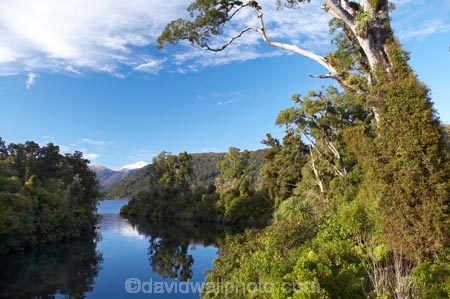 beautiful;beauty;Beech-Forest;Blue-River;bush;calm;eco-tourism;eco-tourist;eco-tourists;eco_tourism;eco_tourist;eco_tourists;ecotourism;ecotourist;ecotourists;endemic;forest;forests;green;lake;Lake-Moeraki;lakes;Moeraki-River;n.z.;native;native-bush;natives;natural;natural-scenery;nature;new-zealand;Nothofagus;nz;placid;quiet;rain-forest;rain-forests;rain_forest;rain_forests;rainforest;rainforests;reflection;reflections;river;rivers;S.I.;scene;scenic;serene;SI;smooth;South-Island;southern-beeches;still;timber;tranquil;tree;trees;water;west-coast;westland;wood;woods