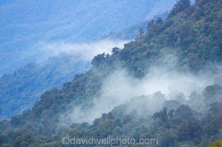 beautiful;beauty;Beech-Forest;bush;cloud;cloudy;endemic;fog;foggy;fogs;forest;forests;green;heritage-area;low-cloud;mist;mists;misty;N.Z.;native;native-bush;natives;natural;nature;New-Zealand;Nothofagus;NZ;rain-forest;rain-forests;rain_forest;rain_forests;rainforest;rainforests;S.I.;scene;scenic;SI;South-Island;southern-beeches;te-wahi-pounamu;te-wahipounamu;te-wahipounamu-south_west-new-zealand-world-heritage-area;timber;tree;trees;West-Coast;Westland;wood;woods;world-heirtage-site;world-heirtage-sites;world-heritage-area;world-heritage-areas