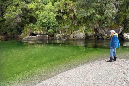 clean;clear;coast;coastal;coastline;coastlines;coasts;estuaries;estuary;green;heritage-area;Mouth;N.Z.;natural;New-Zealand;NZ;ocean;people;person;river;rivers;S.I.;sea;shore;shoreline;shorelines;shores;SI;South-Island;te-wahi-pounamu;te-wahipounamu;te-wahipounamu-south_west-new-zealand-world-heritage-area;tidal;tourist;tourists;untouched;West-Coast;Westland;Whakapohai-River;world-heirtage-site;world-heirtage-sites;world-heritage-area;world-heritage-areas