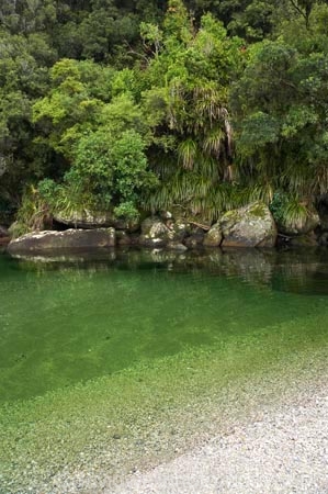 clean;clear;coast;coastal;coastline;coastlines;coasts;estuaries;estuary;green;heritage-area;Mouth;N.Z.;native;natural;natural-scenery;nature;New-Zealand;NZ;ocean;river;rivers;S.I.;scene;sea;shore;shoreline;shorelines;shores;SI;South-Island;te-wahi-pounamu;te-wahipounamu;te-wahipounamu-south_west-new-zealand-world-heritage-area;tidal;untouched;West-Coast;Westland;Whakapohai-River;world-heirtage-site;world-heirtage-sites;world-heritage-area;world-heritage-areas